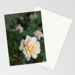 Just Peachy Stationery Cards