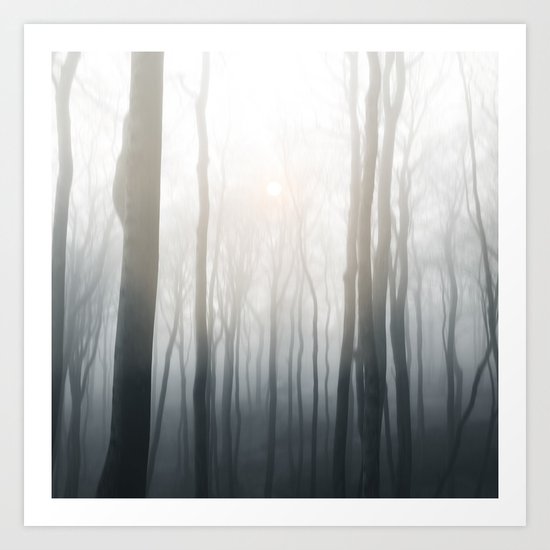 Foggy morning Art Print