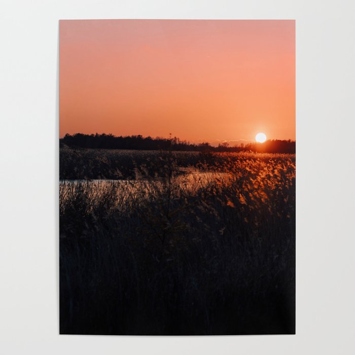 Sunset landscape Netherlands  Poster
