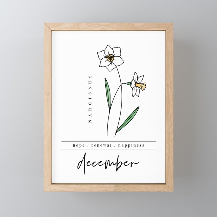 December Birth Flower Narcissus Framed Mini Art Print by Jande