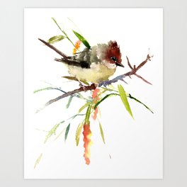Beautiful Bird artwork, Yuhina Bird, Olive green Brown bird art Art Print