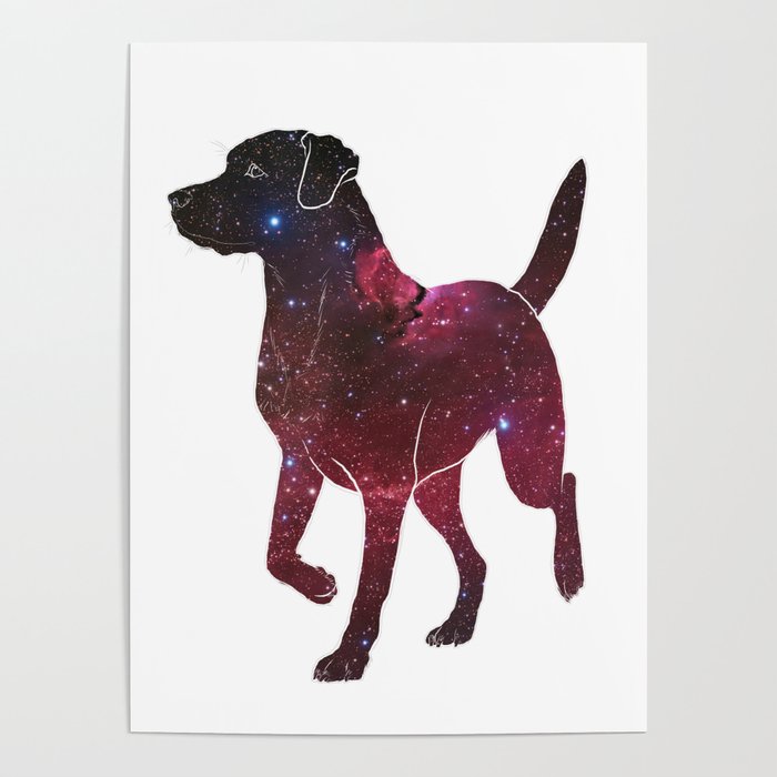 Space Labrador Poster