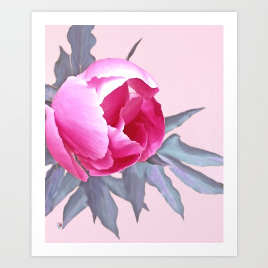 Vintage Flower Art Print
