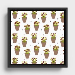 Venus Flytraps Framed Canvas