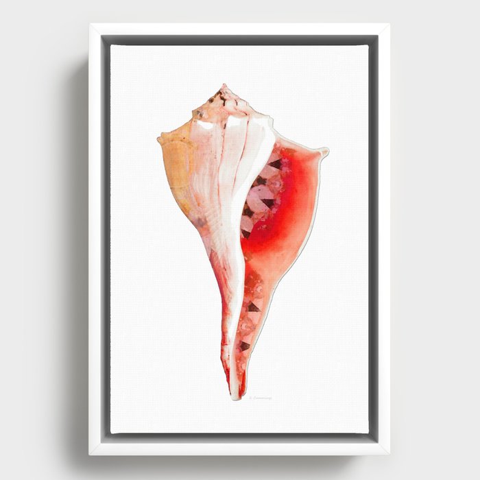 Beach Decor - Red Whelk Seashell Art  Framed Canvas