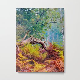 Autumn colored Ferns in forrest | Veluwe, The Netherlands | Fine art nature photography Metal Print | Autumncolors, Fallcolors, Fallleaves, Ferns, Theveluwe, Color, Coloredleaves, Holland, Photo, Fernleaves 
