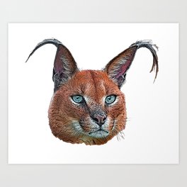 Caracal Face Cat Orange Long Ears Feline Mammal Art Print | Lynx, Eye, Looking, Caracal, Head, Feline, Mammal, Wildlife, Animal, Painting 