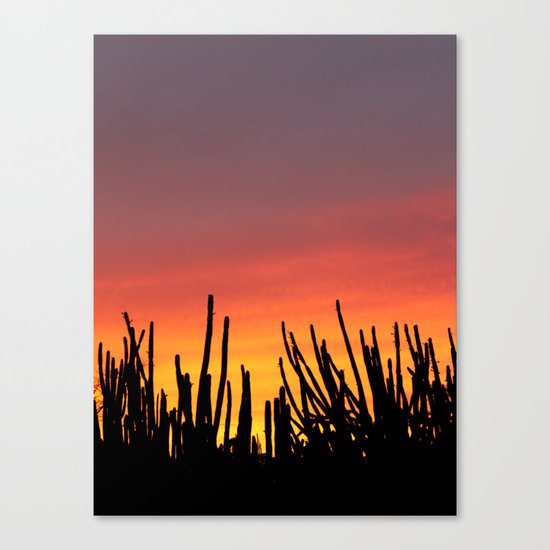 Catching fire Canvas Print