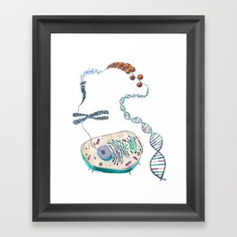 Cell to Helix Framed Art Print