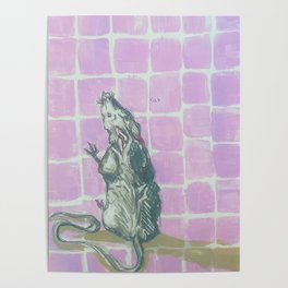 rat Poster