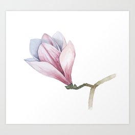 Watercolour Magnolia Flower Art Print