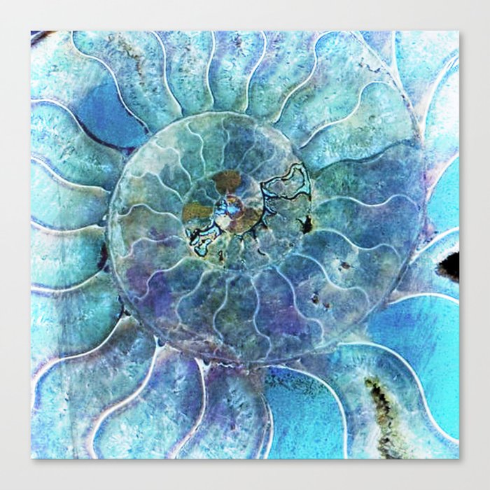 Aqua seashell - mother of pearl - Beautiful backdrop Canvas Print
