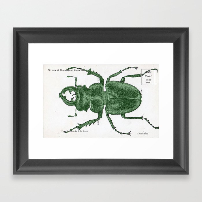 Green Beetle Postcard Framed Art Print