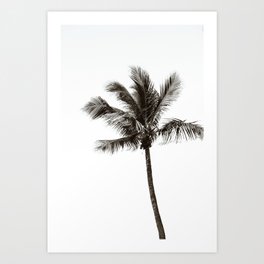 Minimal Palm Tree Print In Black And White Art Print