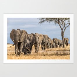 Elephants on Parade Art Print