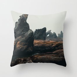 Shi Shi Beach, Washington State Travel Illustration Throw Pillow