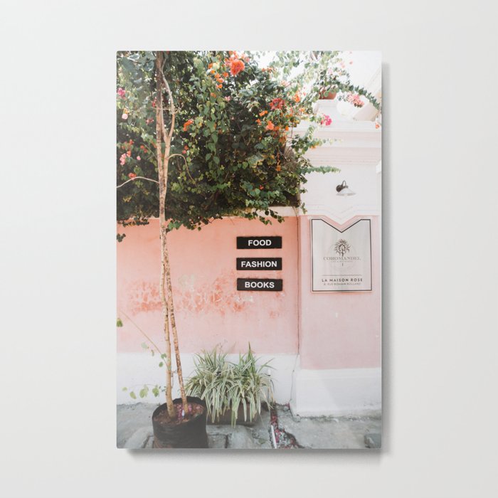 Pink Wall With Tree in Pondicherry, India | Travel Photography | Metal Print