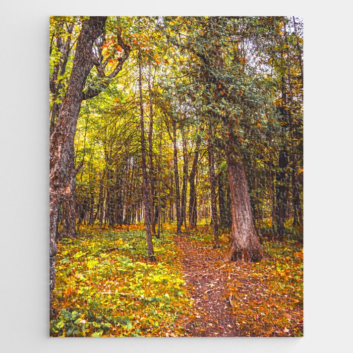 Autumn Forest | Travel Photography | Northern Minnesota Jigsaw Puzzle