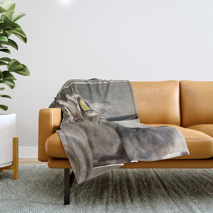 Sherpa sales blanket reddit