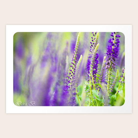 Flower Art Print
