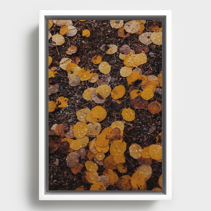 Framed Canvas