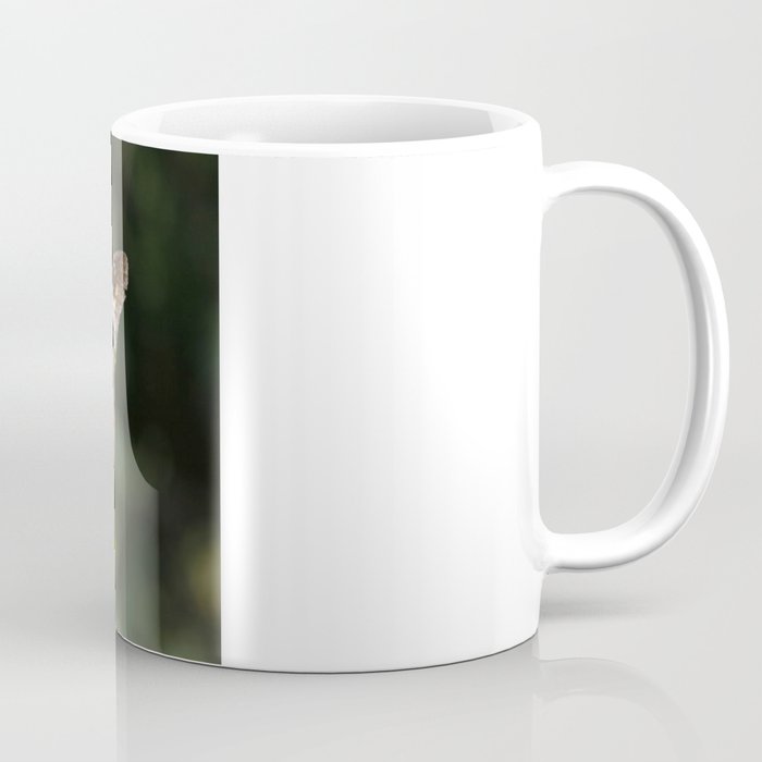Common Buckeye Coffee Mug