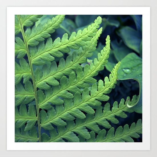 green fern abstract VII Art Print