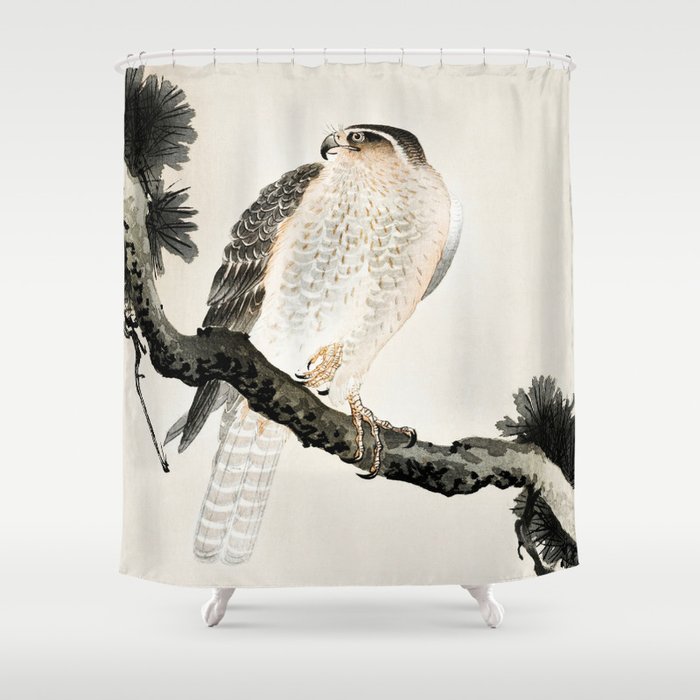 Hawk sitting on a pine tree - Vintage Japanese Woodblock Print Art Shower Curtain