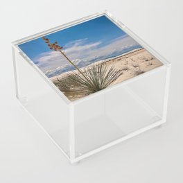 desert Acrylic Box