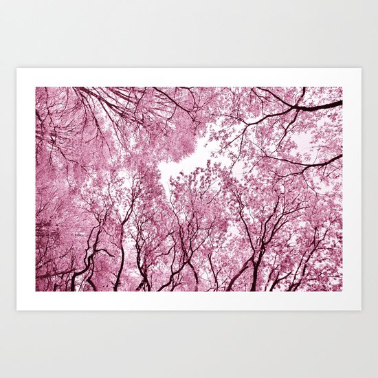 Pink view - photography Art Print