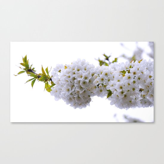 spring mode on Canvas Print