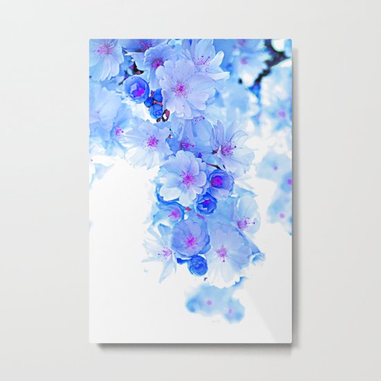 Cherry Blossom.Blue Metal Print