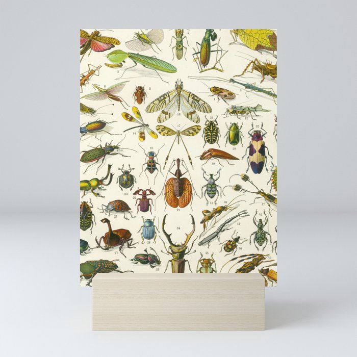 Bugs  Mini Art Print