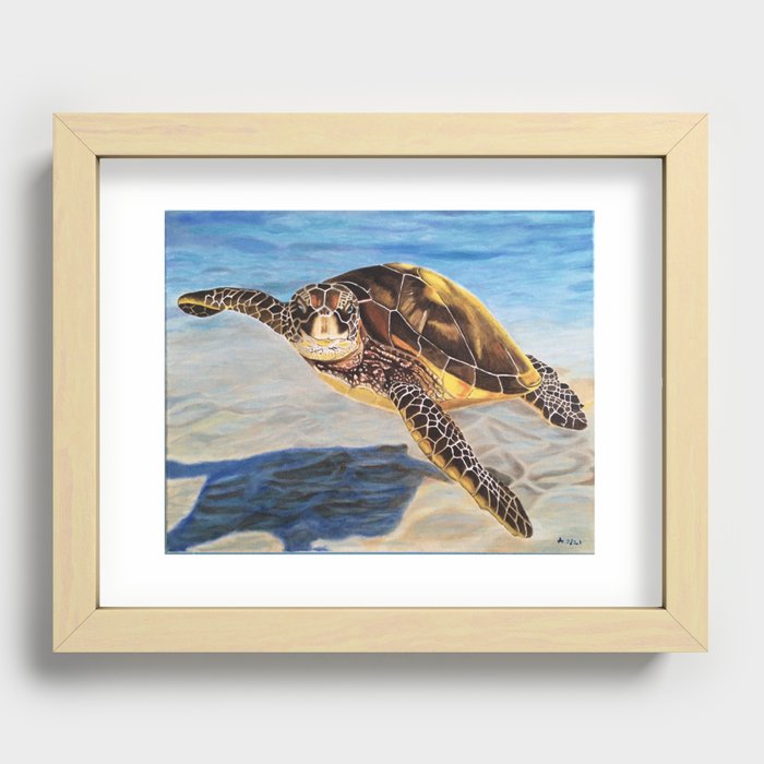 Turtle Recessed Framed Print