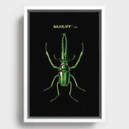 BLKLYT/56 - BUG II Framed Canvas