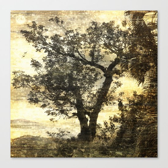 Pic Paradis Canvas Print