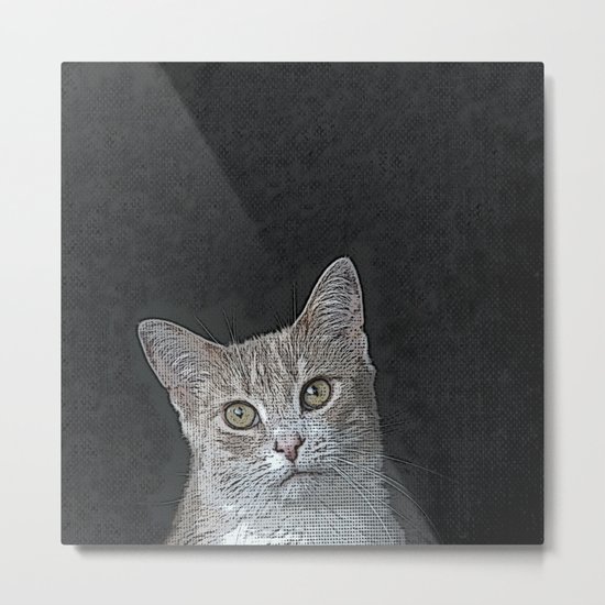 Pretty Kitty Metal Print