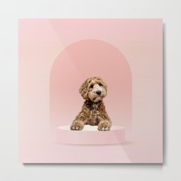 Goldendoodle Laying on Pastel Pink Podium Metal Print | Arch, Pink, Goldendoodle, Doodle, Curated, Golden, Puppy, Poodle, Rose, Rendering 