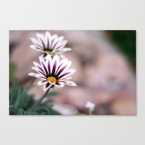 Stripes Canvas Print