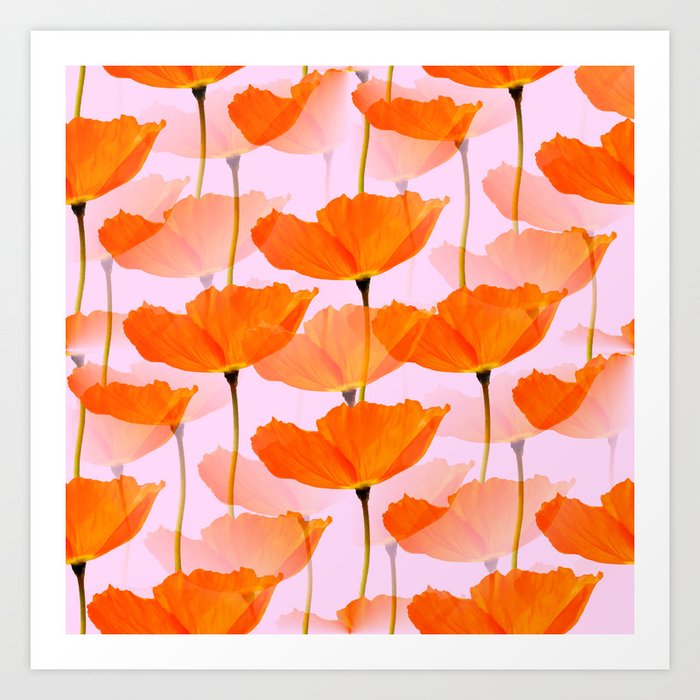 Orange Poppies On A Pink Background #decor #society6 #buyart Art Print