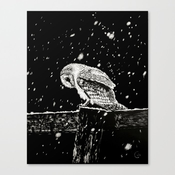 Snowfall at Night Canvas Print