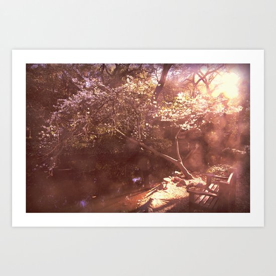 secret spot Art Print