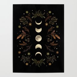 Moonlight Garden - Winter Brown Poster