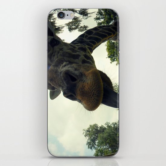 Giraffes are Silly. iPhone & iPod Skin