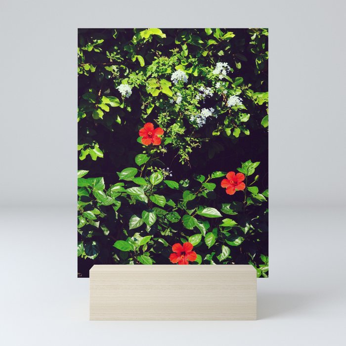 Red Flowers among Green Leaves | Tropical Botanics Mini Art Print