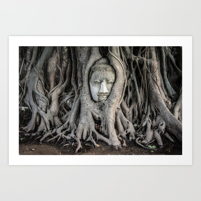 Buddha Art Print