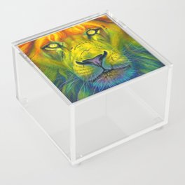 Pride Rising Acrylic Box