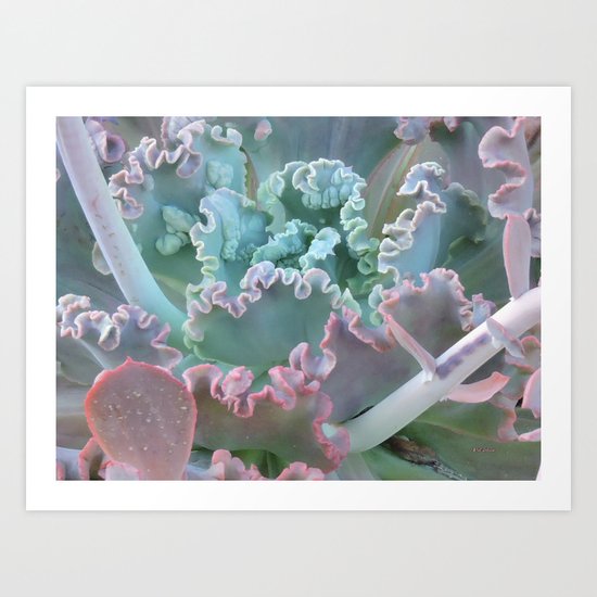 Succulent in the Sand Art Print
