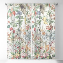Adolphe Millot - Fleurs D - French vintage poster Sheer Curtain