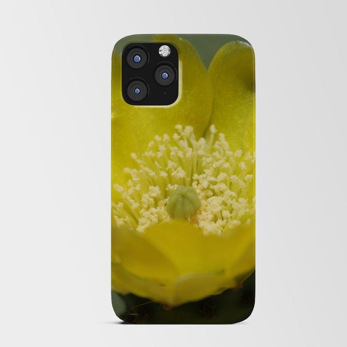 Yellow Cactus Pear Flower Close Up Photography iPhone Card Case